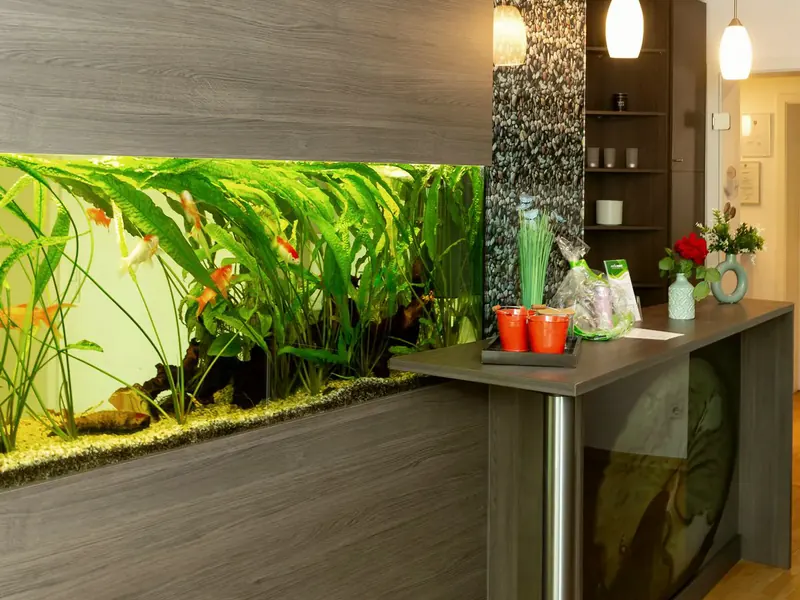 Empfang der Praxis Tempelhof mit Aquarium und Theke